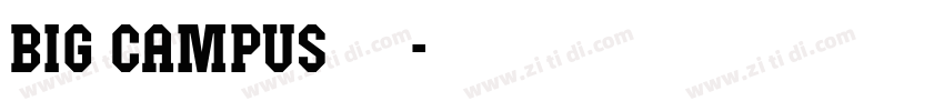 Big Campus 字体字体转换